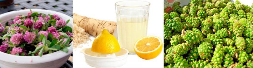 שיטות מסורתיות לשיפור תפקוד המוח